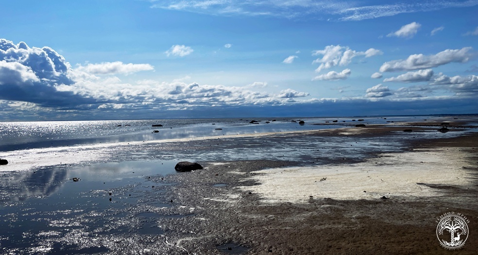 Берег усыпан множеством разных камней. 