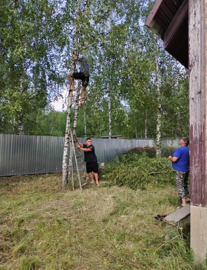 Ребята в деле. 