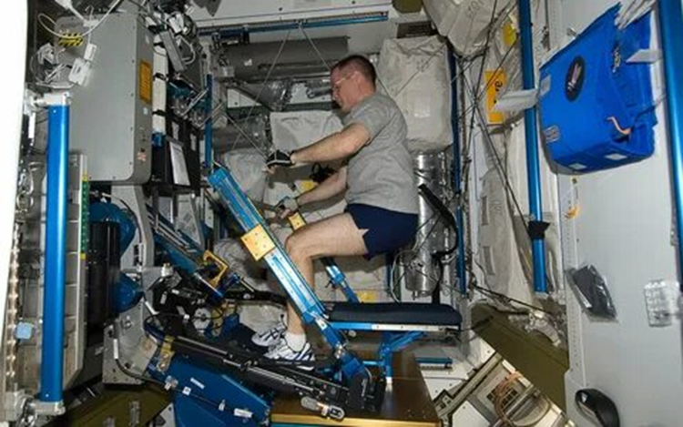 Тренировка на силовом нагружателе ARED. Фото: nasa.blog.com
