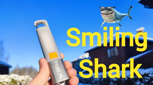 Дешевый фонарик Smiling Shark