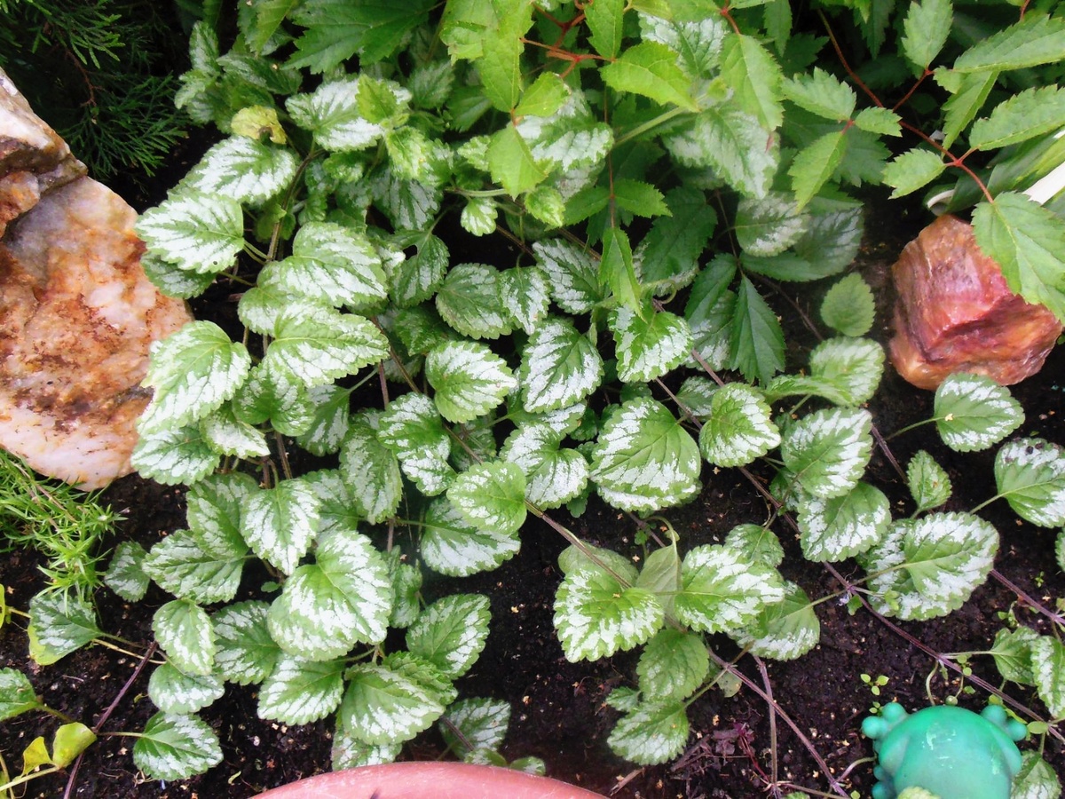 Фото автора канала