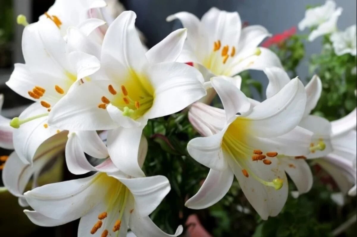    Ветерану из Тверской области исполнилось 102 года