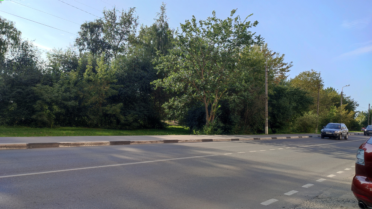 Вид из окна машины. Домодедово