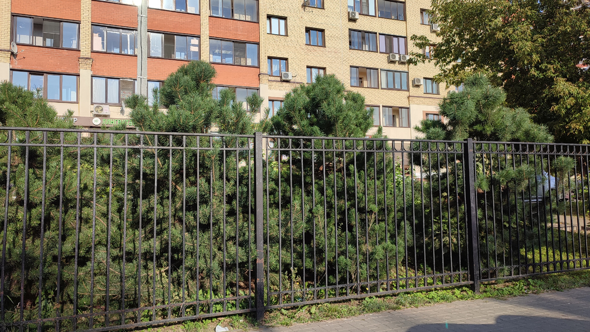 Вид из окна машины. Домодедово