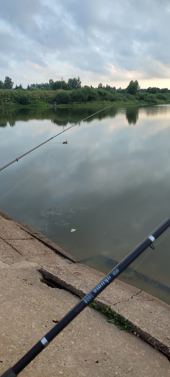 Рыбаки закинули удочки. 