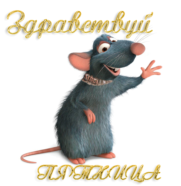 Яндекс картинки