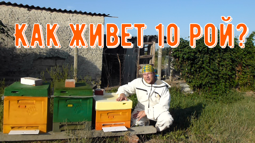 Как поживает 10 рой?