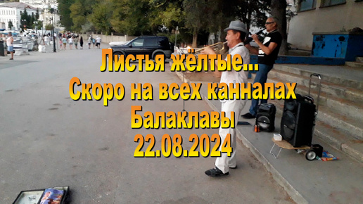 22.08.2024. Листья жёлтые