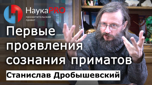 Первые проявления сознания приматов – Станислав Дробышевский | Лекции по антропологии | Научпоп