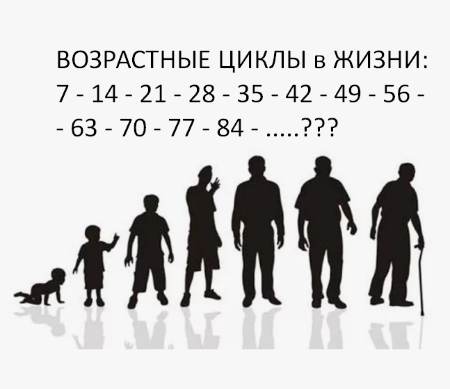 Фото из открытого источника