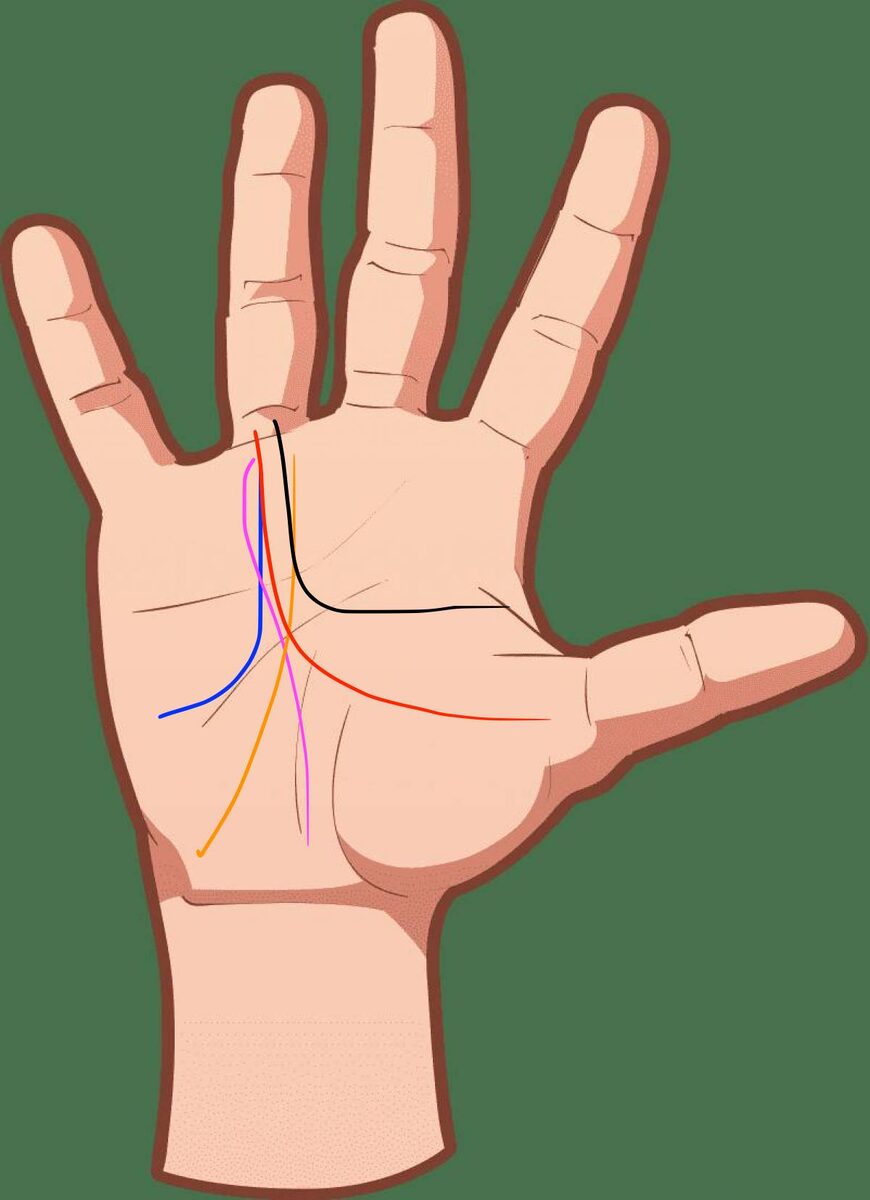 Линия Солнца (Аполлона) может начинаться с разных мест на ладони, но всегда идет к безымянному пальцу. Она может иметь разную длину, глубину, быть с разрывами и с островами, как и все остальные линии