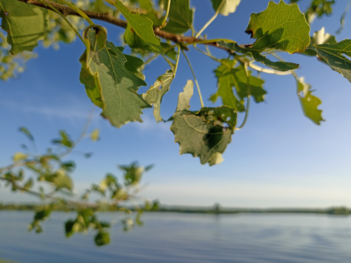 У Ольшанского карьера. Листайте галерею