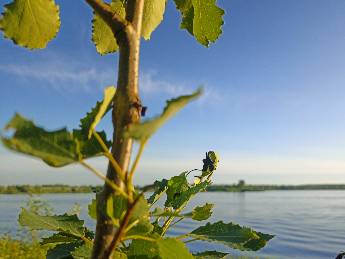 У Ольшанского карьера.