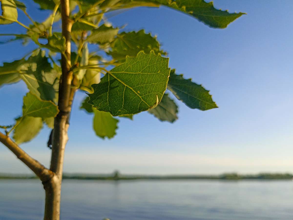 У Ольшанского карьера.