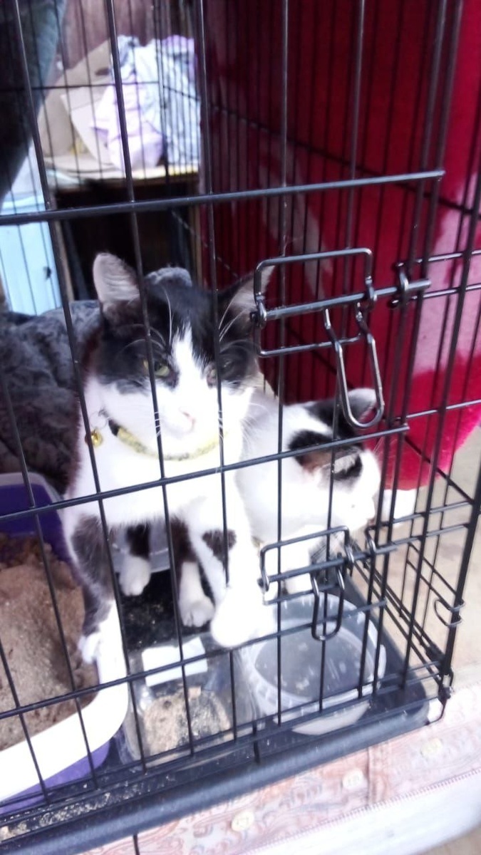 Добавьте описание