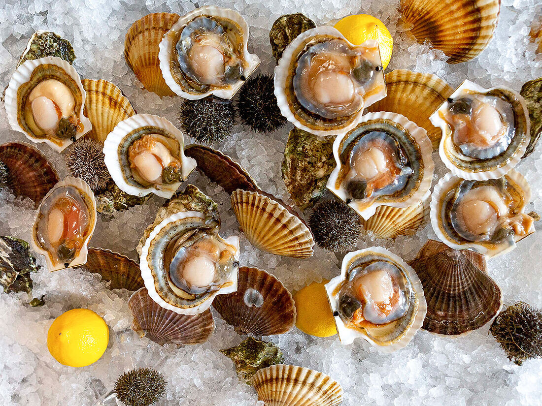 Вкусности ресторана Rakushka