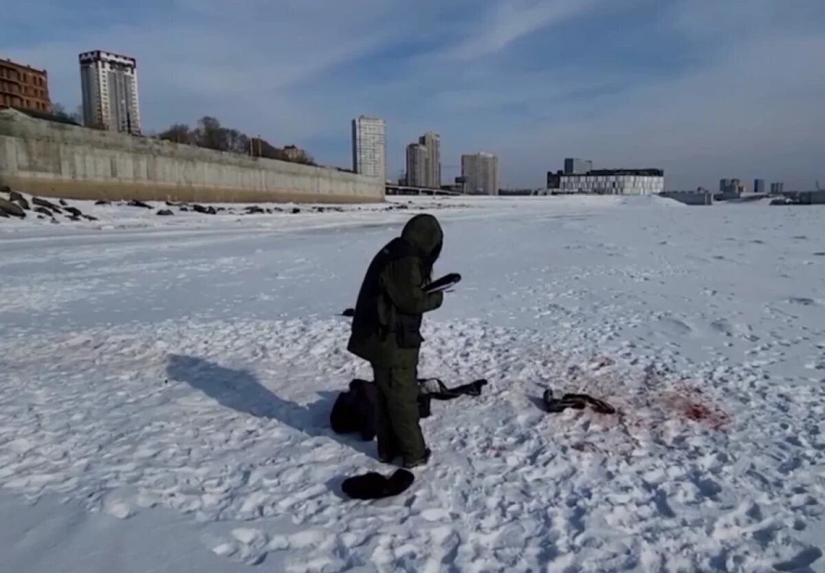    Владельцев сбежавших собак, которые едва не съели хабаровчанина, ждёт суд
