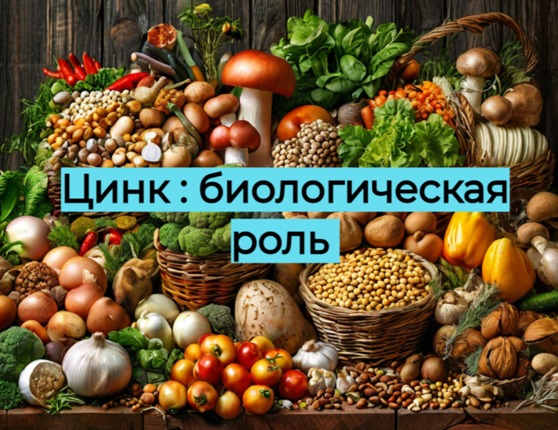 Изображение сгенерировано нейросетью для оформления статьи