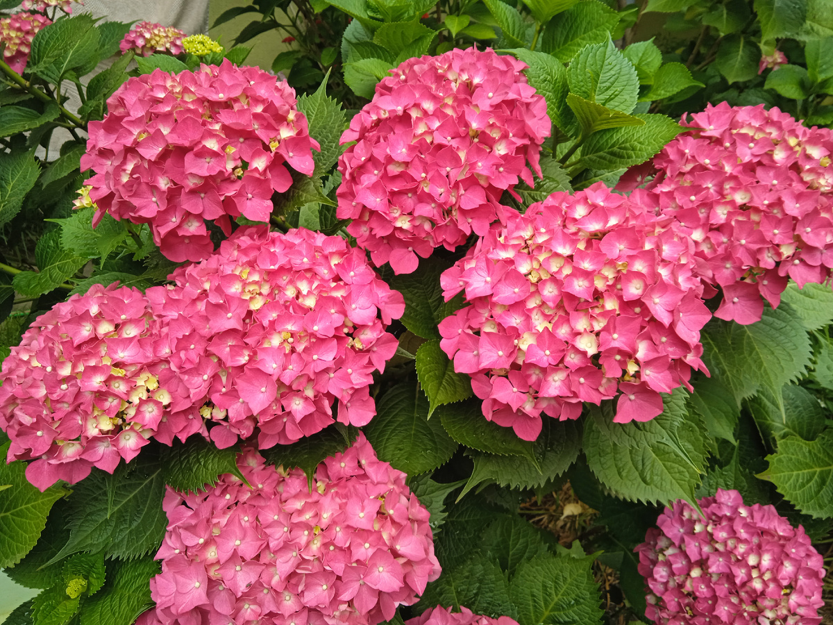 Вот как в такое не влюбиться?