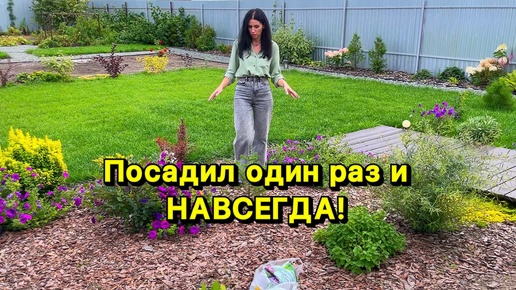 Как создать САД, который не захочется переделать! Это реально?