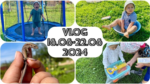 VLOG 18-22.08.24 ДЕНЬ РОЖДЕНИЯ | СВЕТОФОР | БАТУТ | ЯЩЕРКА | ТАСКАЕМ ЩЕБЕНКУ | ДАЧА | ВОДНЫЕ ПРОЦЕДУРЫ