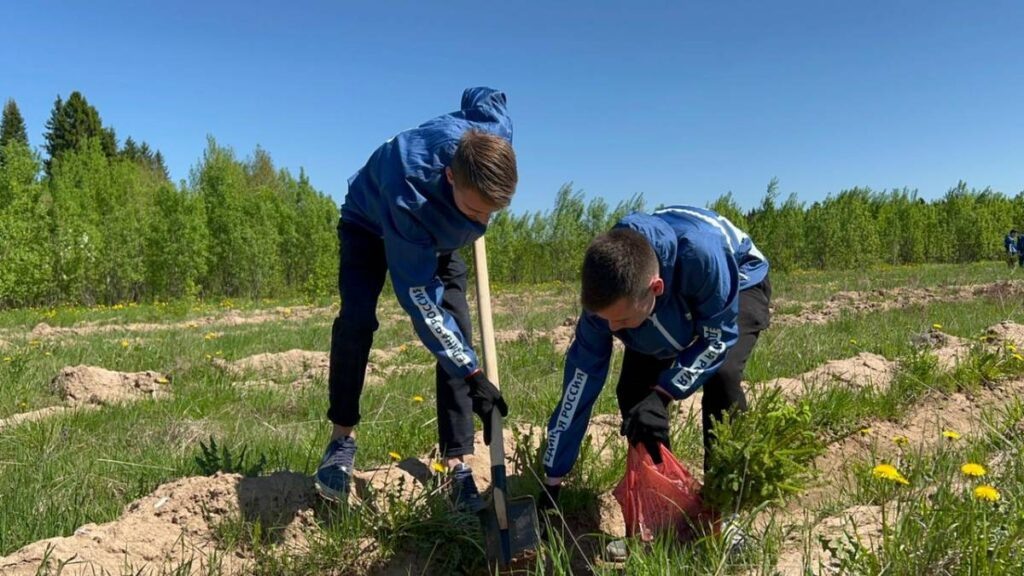    Фото: "Единая Россия" Алена Калашникова