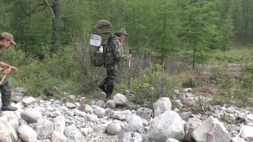 К наледной долине реки Аюмкан .Токинско - Становой национальный парк . Экспедиция Зейского заповедника 2024 год Июль