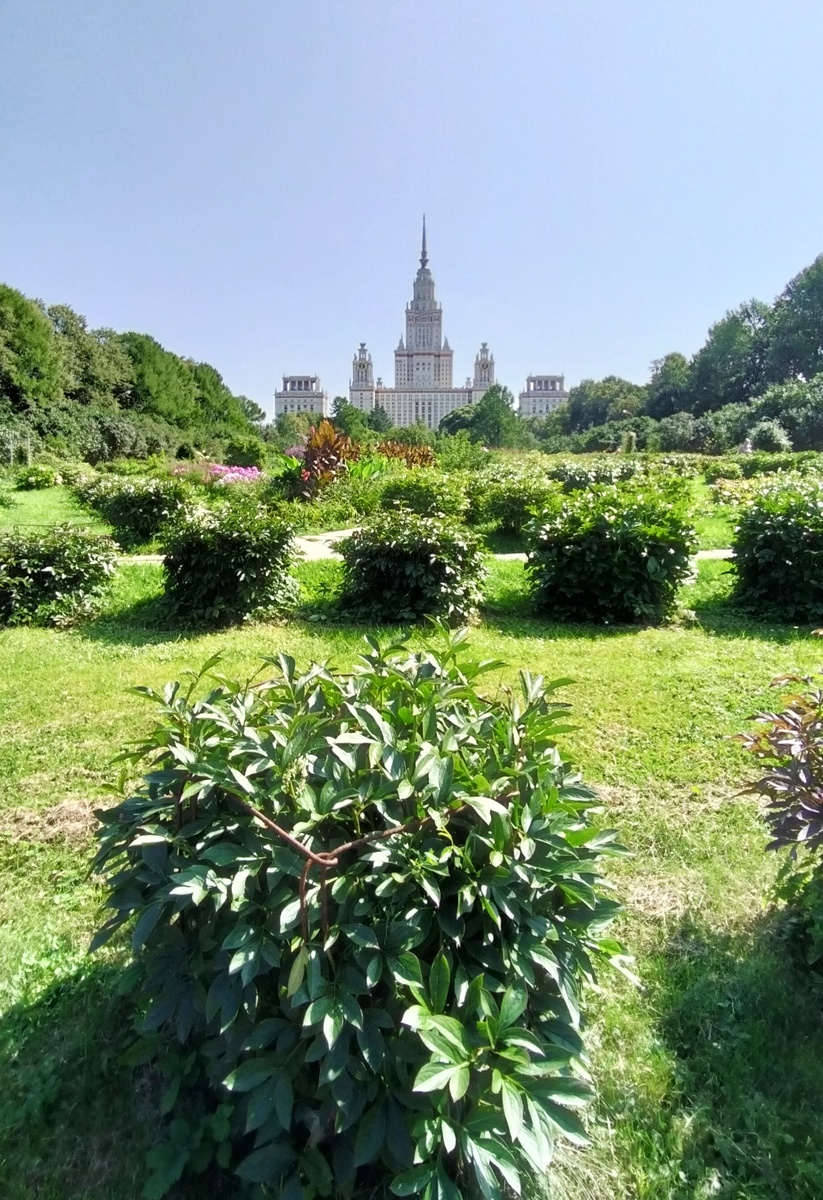Вид на главное здание МГУ из глубины Ботанического сада.