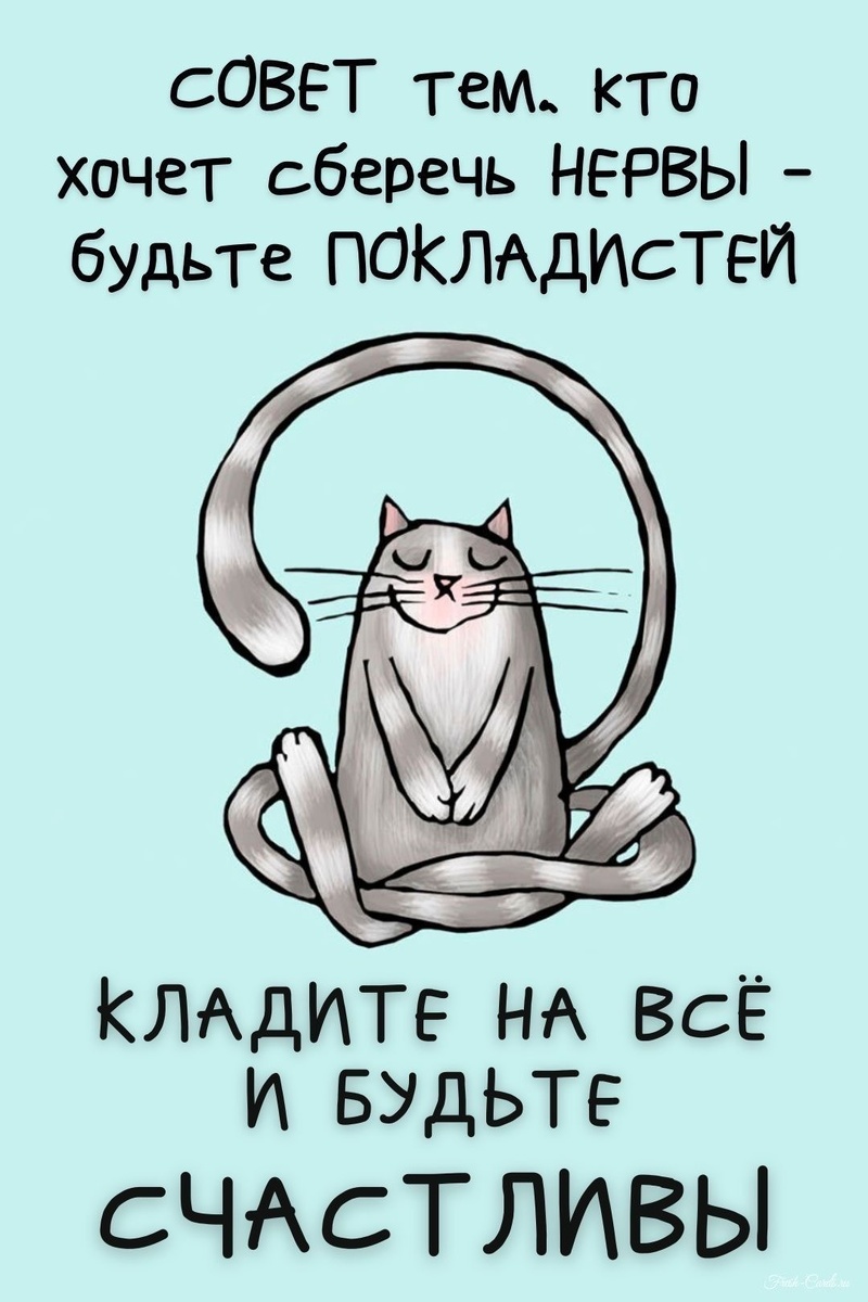 Вы как как мы мне то. Вы как как мы мне то