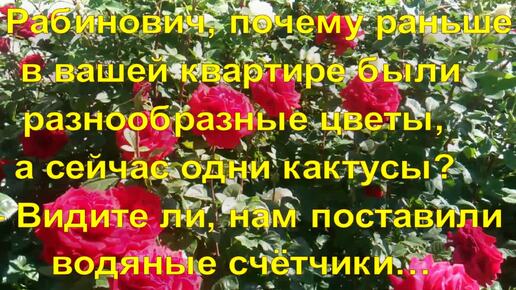 Цветы и.... анекдоты! (3)