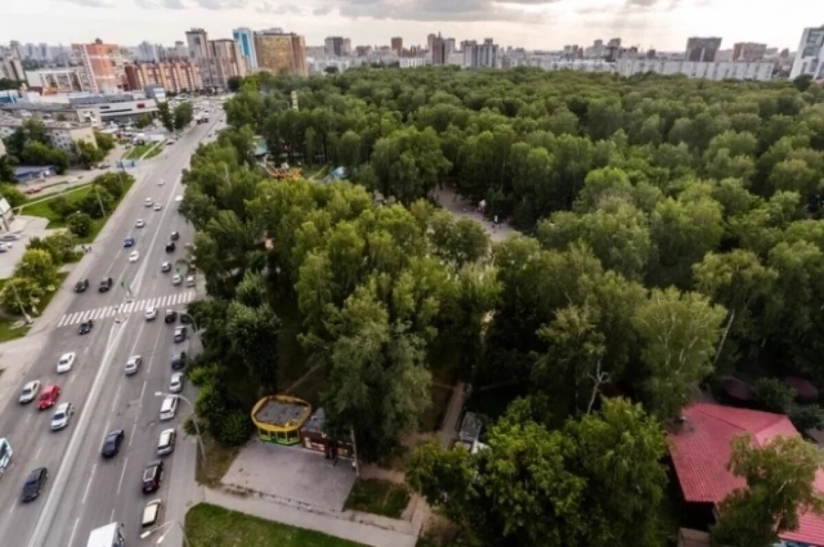    В 2024 году смертность на дорогах Новосибирска стала меньше на 20%