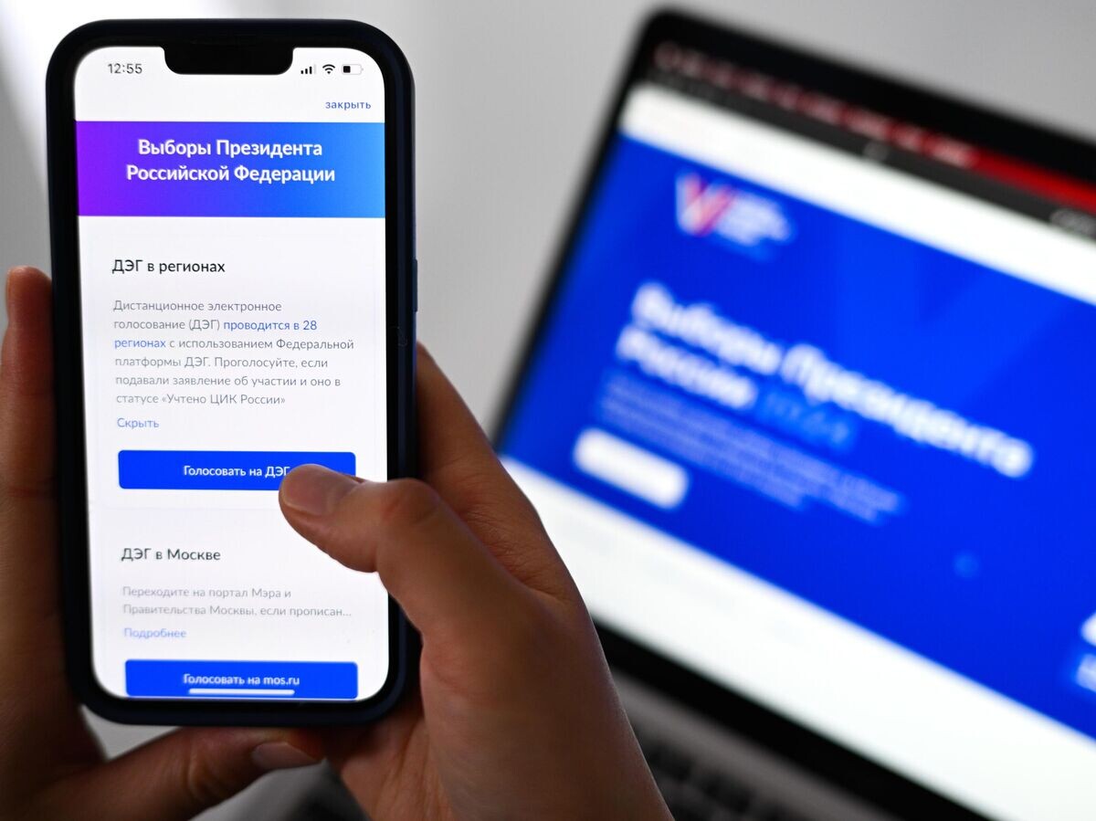    Дистанционное электронное голосование на выборах президента РФ © РИА Новости / Рамиль Ситдиков
