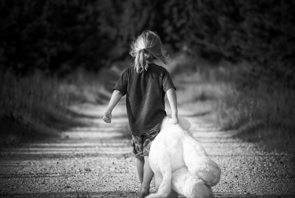 Источник фото: https://pxhere.com/ru/photo/936645