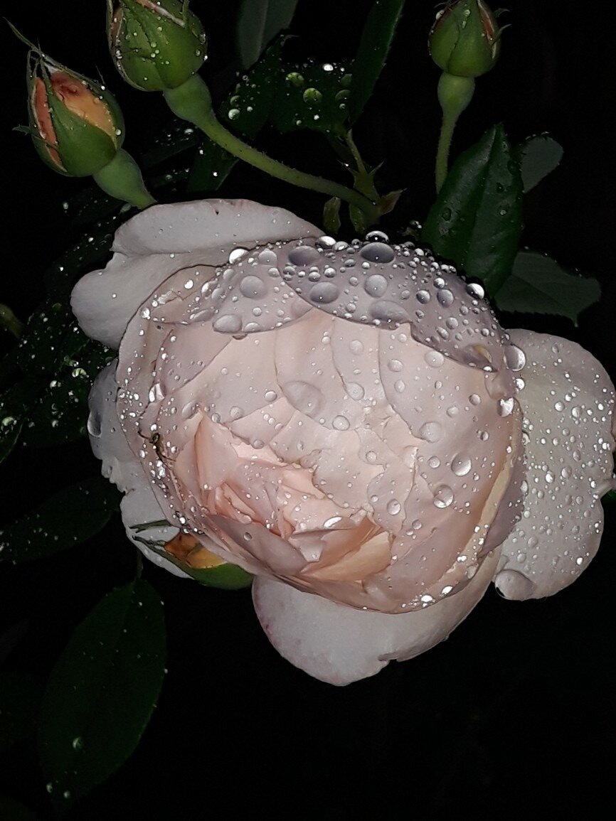 фото Наталии