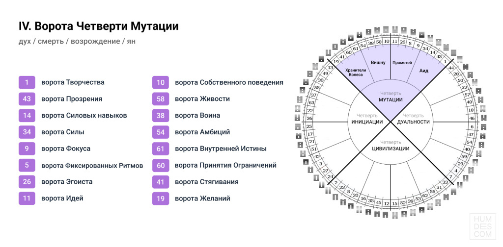 Четверть мутации дизайн