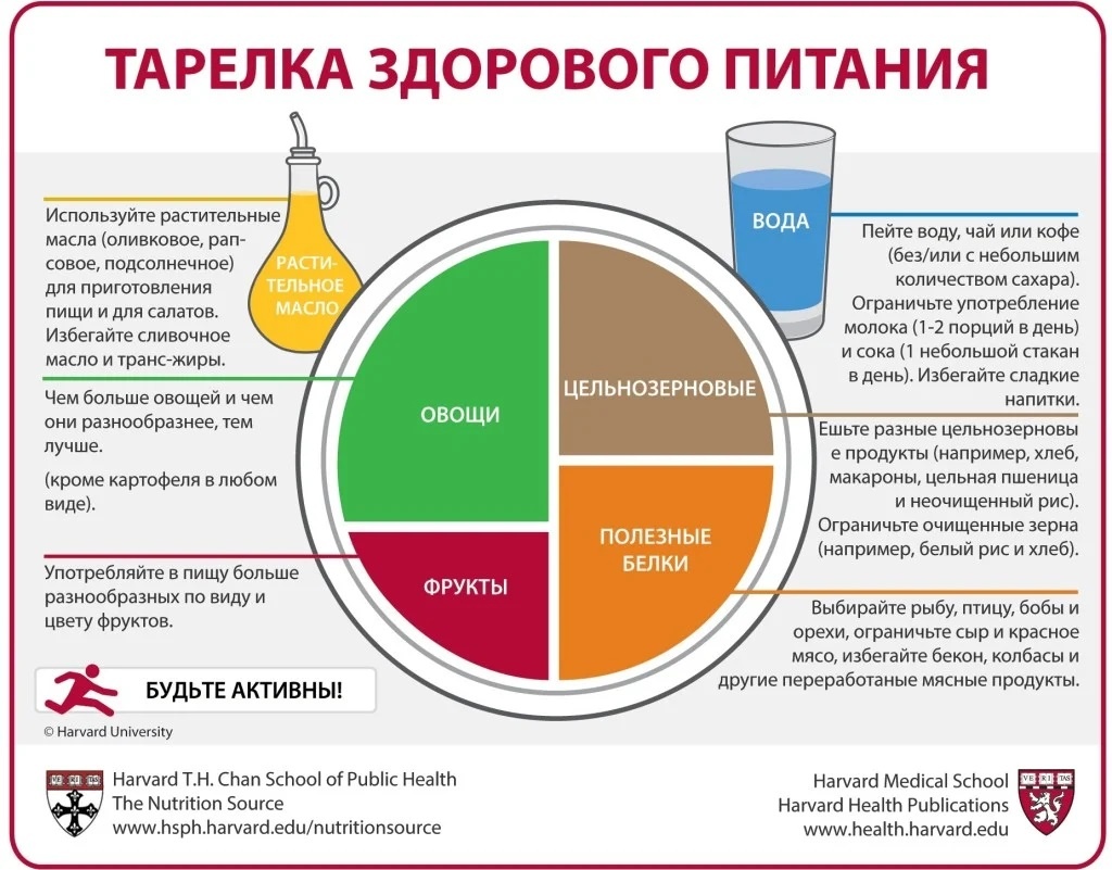 Гарвардская тарелка здорового питания