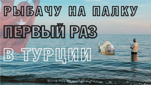 В Турции рыбачу на палку в первый раз! Пытаемся добыть себе еду😳сможет ли море прокормить нас_