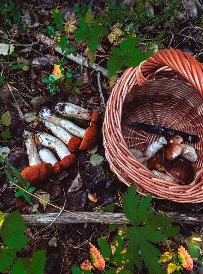 Источник: https://ru.pinterest.com автор Vasilek