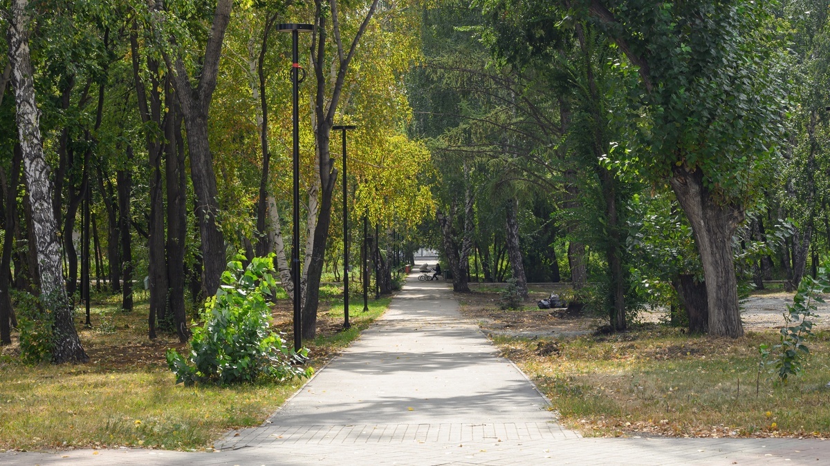 Фото: Администрация Тракторозаводского района города Челябинска