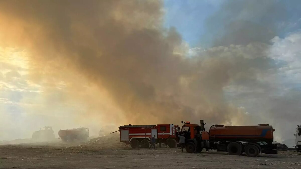     Автор: Андрей Кравченко Источник: https://t.me/kravchenko_glava_nvrsk/9599