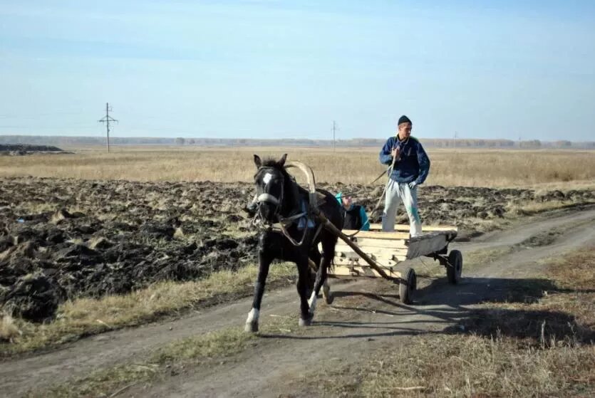 Фото: Законодательное собрание Челябинской области