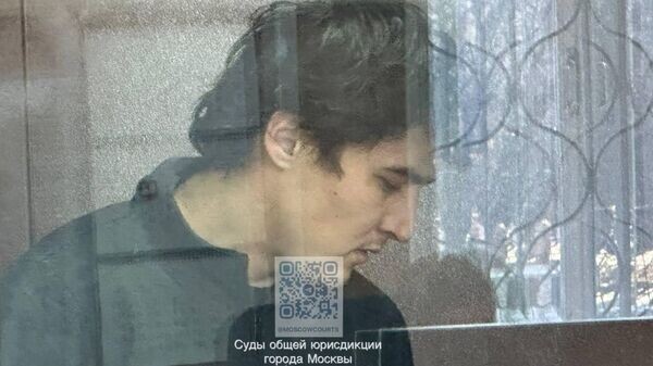    © Пресс-служба Басманного суда
