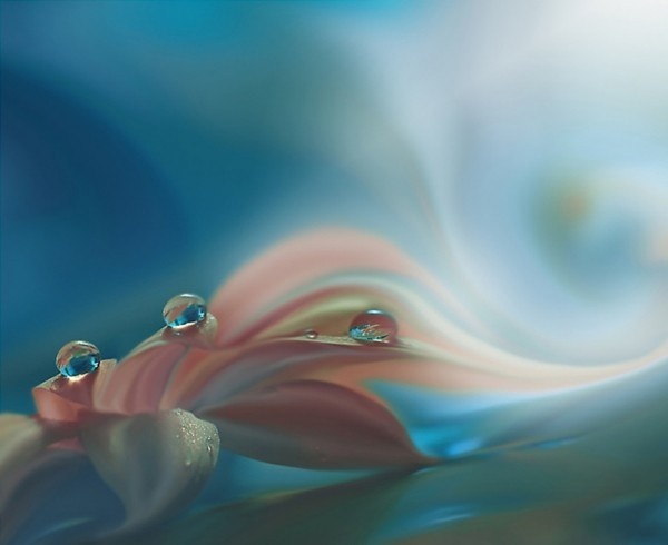 Файл с in.pinterest