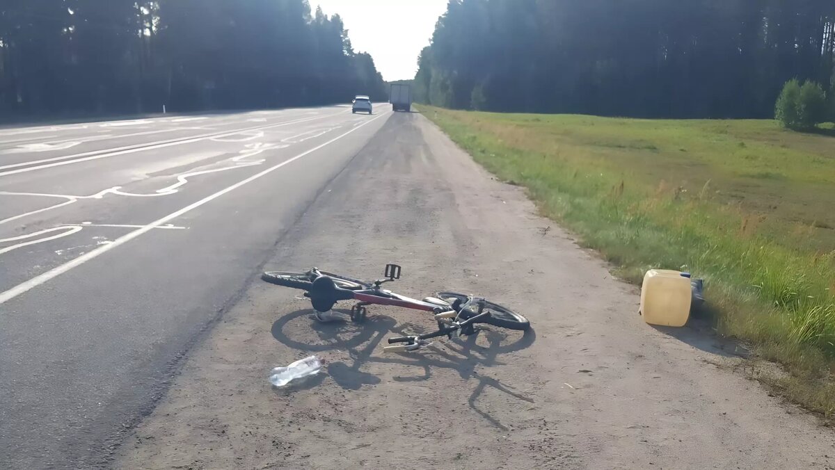     Источник: Госавтоинспекция Карелии / vk