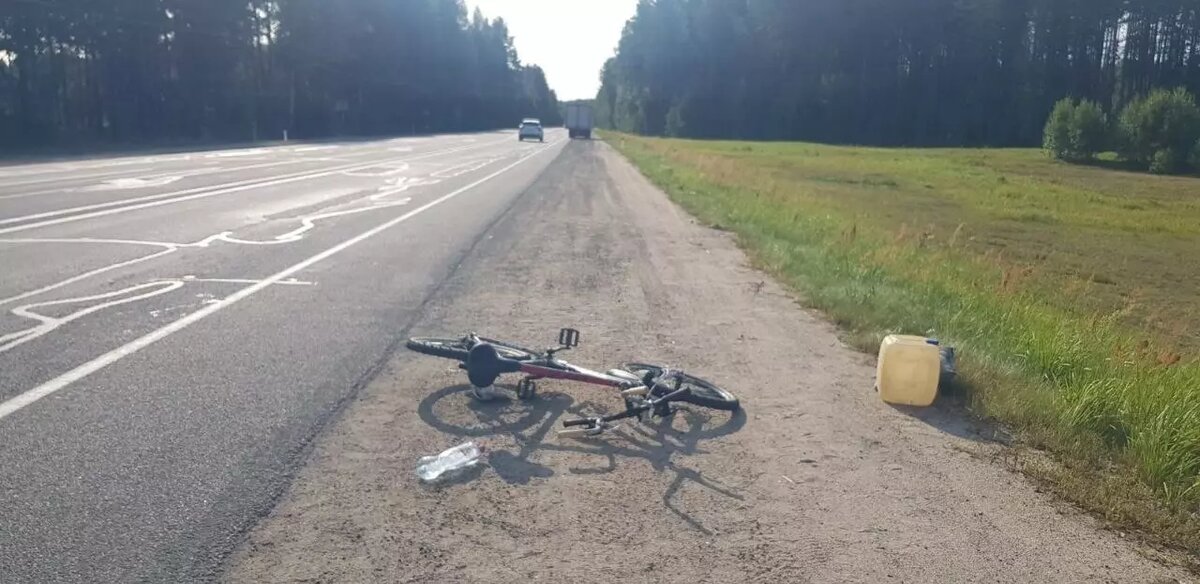     Источник: Госавтоинспекция Карелии / vk