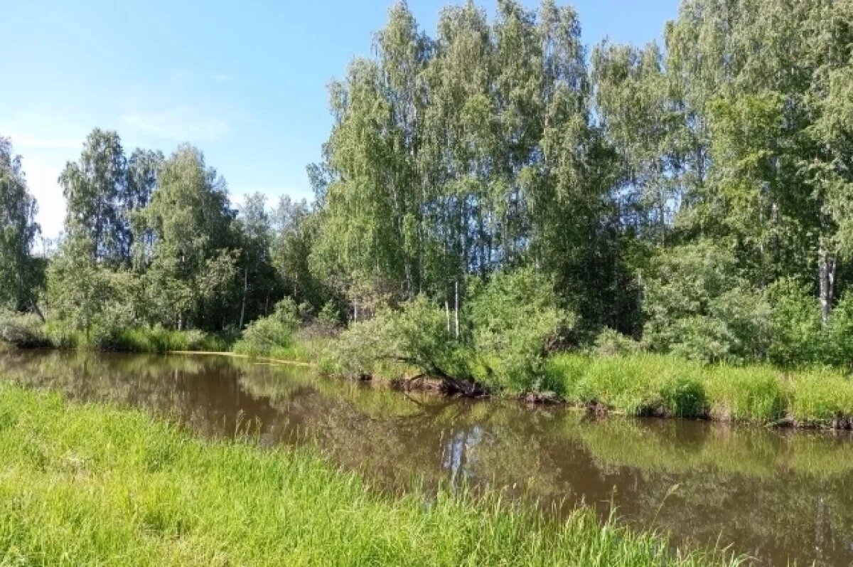    Погибшего в реке заметили очевидцы