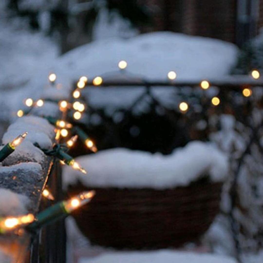 зимнее фото