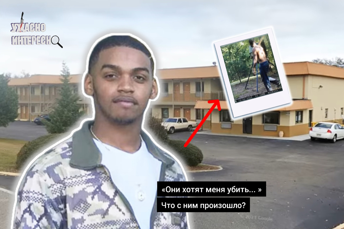 Иллюстрация автора