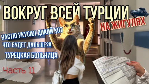 Вокруг ВСЕЙ Турции на ЖИГУЛЯХ! Укусил дикий лесной кот!😱Жесть!☠️Турецкая больница!😬Жизнь на улице!🤘🏻