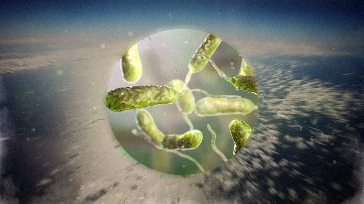 Фото: Великоросс